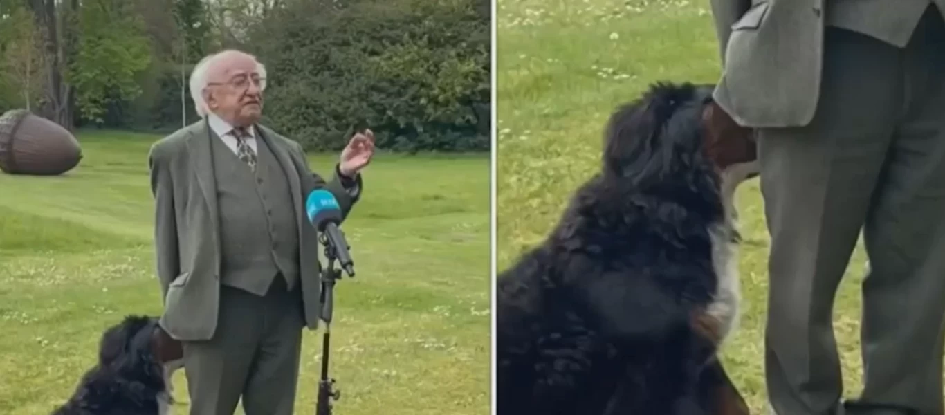 Ιρλανδία: Ο σκύλος του προέδρου που «έκλεψε» την παράσταση ζητώντας χάδια (βίντεο)